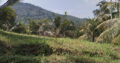 A Valuable 10 Acres Land for Sale in Rambukkana Road, Kegalle.