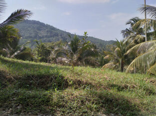 A Valuable 10 Acres Land for Sale in Rambukkana Road, Kegalle.