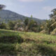 A Valuable 10 Acres Land for Sale in Rambukkana Road, Kegalle.