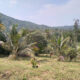 A Valuable 10 Acres Land for Sale in Rambukkana Road, Kegalle.