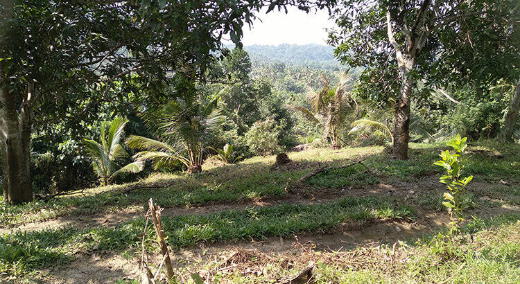 A Valuable 10 Acres Land for Sale in Rambukkana Road, Kegalle.