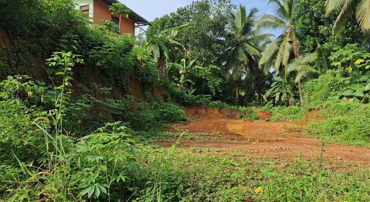 20 Perches of Freehold Land for Sale in Elpitiya, Galle.