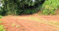 Valuable Commercial Land for Sale between Batapola, Ambalangoda.