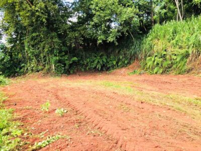 Valuable Commercial Land for Sale between Batapola, Ambalangoda.