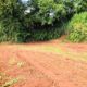 Valuable Commercial Land for Sale between Batapola, Ambalangoda.