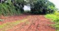 Valuable Commercial Land for Sale between Batapola, Ambalangoda.