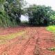 Valuable Commercial Land for Sale between Batapola, Ambalangoda.