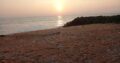 Beautiful Beachfront Land for Sale in Katukurunda, Kalutara.