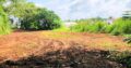 Valuable Commercial Land for Sale between Batapola, Ambalangoda.