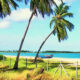 26 Acres of Beach front Land for Sale at Pasikuda.