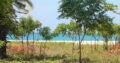 26 Acres of Beach front Land for Sale at Pasikuda.