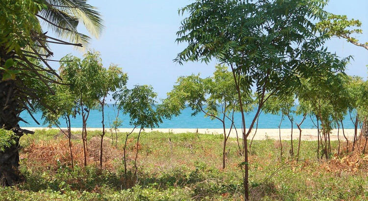 26 Acres of Beach front Land for Sale at Pasikuda.