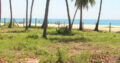 26 Acres of Beach front Land for Sale at Pasikuda.