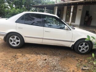 1999 Toyota Corolla for Sale