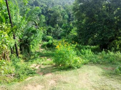 Land in Rambukkana close to Pinnawala.