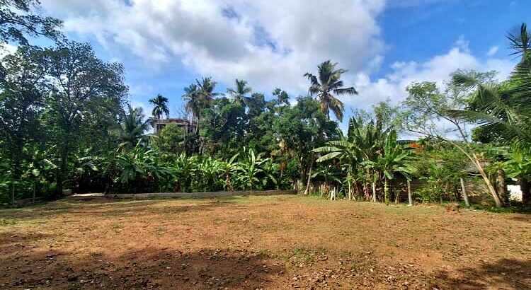 A Valuable Bare Land for Sale in Mahara, Kadawatha.