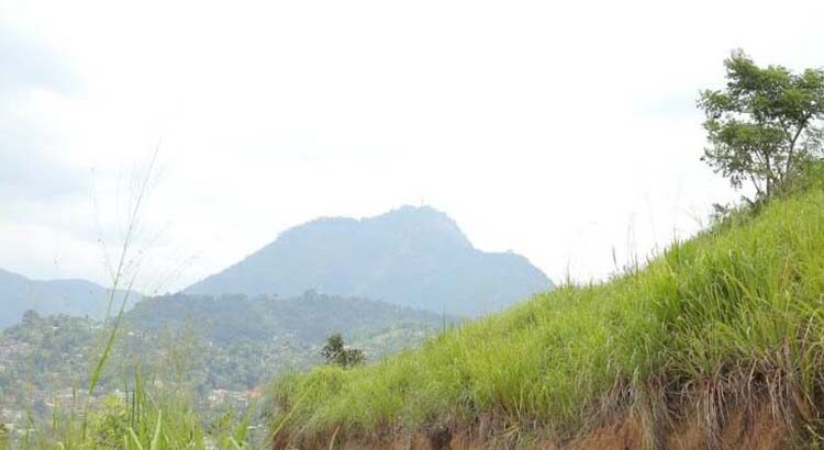 700 Perches Land For Sale in Gampola.