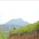 700 Perches Land For Sale in Gampola.