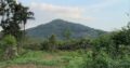 06 Acres of Land for Sale at Avissawella, Near the Kumari ella.