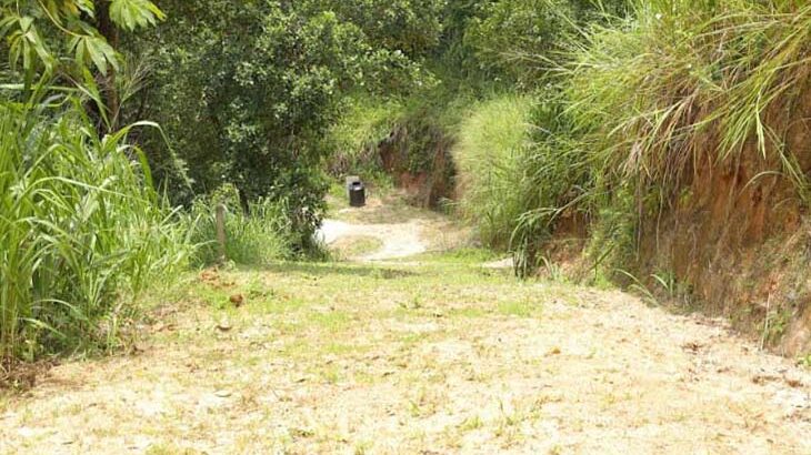 700 Perches Land For Sale in Gampola.
