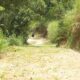 700 Perches Land For Sale in Gampola.