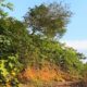 06 Acres of Land for Sale at Avissawella, Near the Kumari ella.