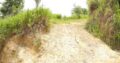 700 Perches Land For Sale in Gampola.