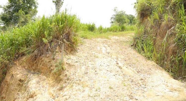 700 Perches Land For Sale in Gampola.