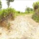 700 Perches Land For Sale in Gampola.