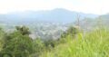 700 Perches Land For Sale in Gampola.