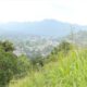 700 Perches Land For Sale in Gampola.