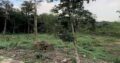 06 Acres of Land for Sale at Avissawella, Near the Kumari ella.