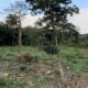 06 Acres of Land for Sale at Avissawella, Near the Kumari ella.