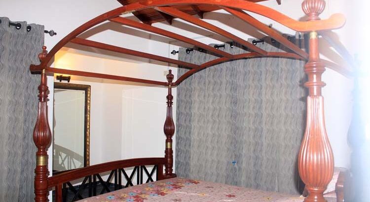 Luxury House for Sale in Lion City, Seeduwa.