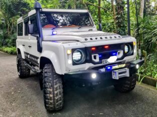 Land Rover Defender for Sale