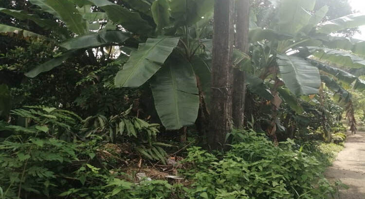 Land for Sale in Sapugaskanda, Kiribathgoda.