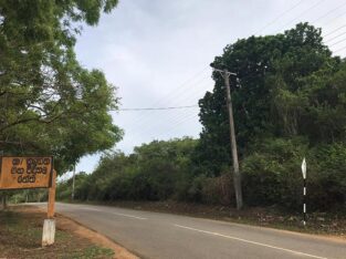 160 Perches Land for Sale in Ranna, Weerakatiya, facing main road.