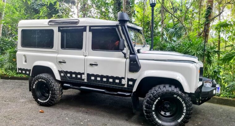 Land Rover Defender for Sale