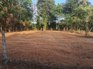 Land for sale