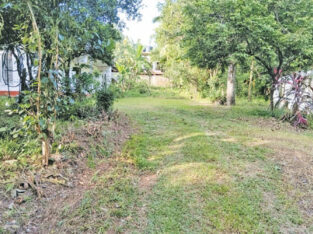 Land for sale