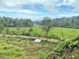 Land for sale