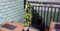 House For Sale in Dematagoda