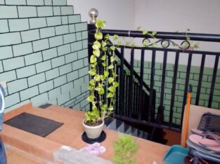 House For Sale in Dematagoda
