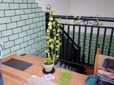 House For Sale in Dematagoda