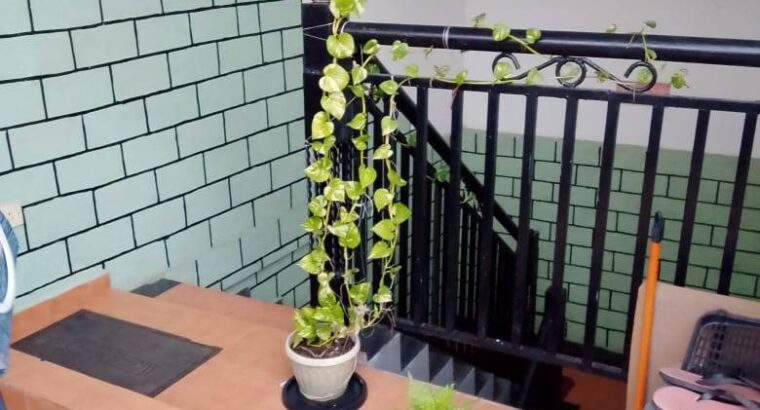 House For Sale in Dematagoda