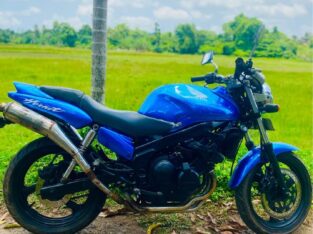 Yamaha zeel
