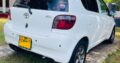 Vitz SCP 10