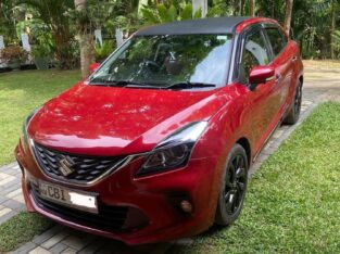 Suzuki Baleno 2019 (Turbo RS)