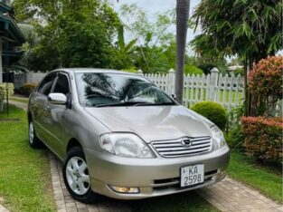 Toyota Corolla 121