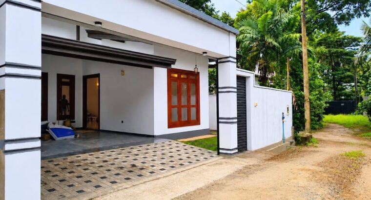 Brand New Singale Store Luxury House for Sale Athurugireya